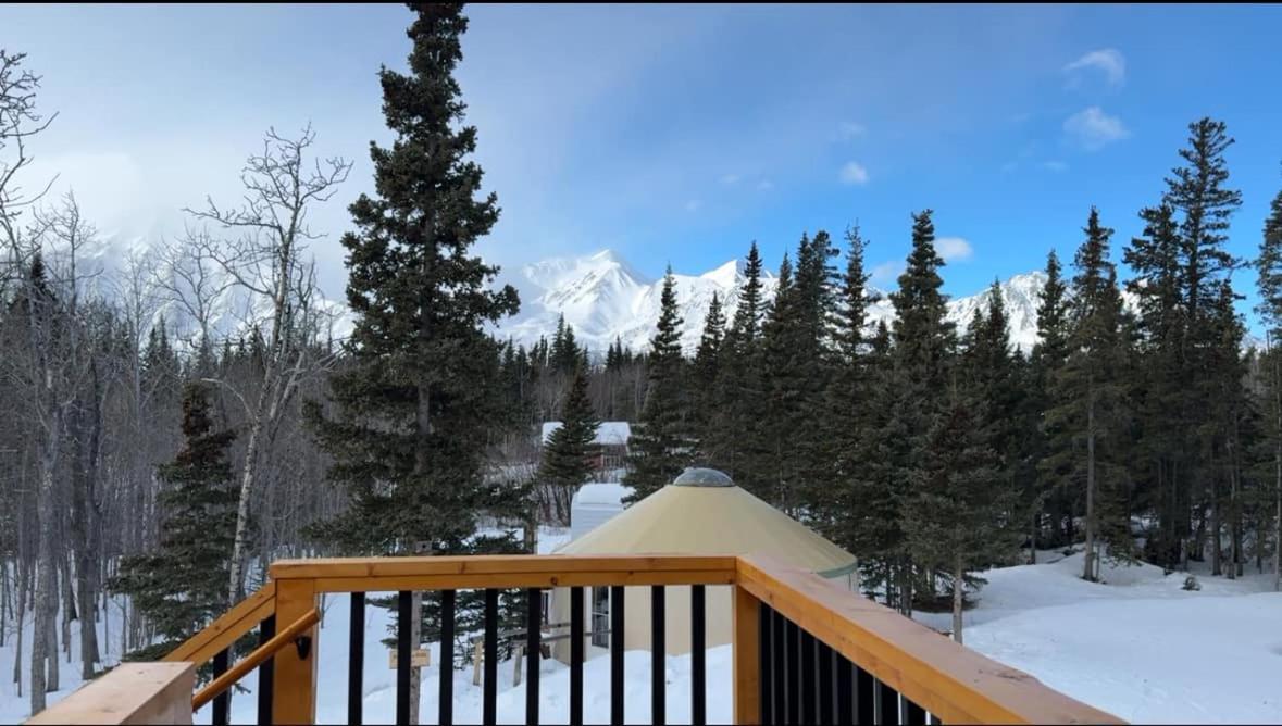 Mount Logan Ecolodge & Retreat Center Haines Junction Exteriér fotografie
