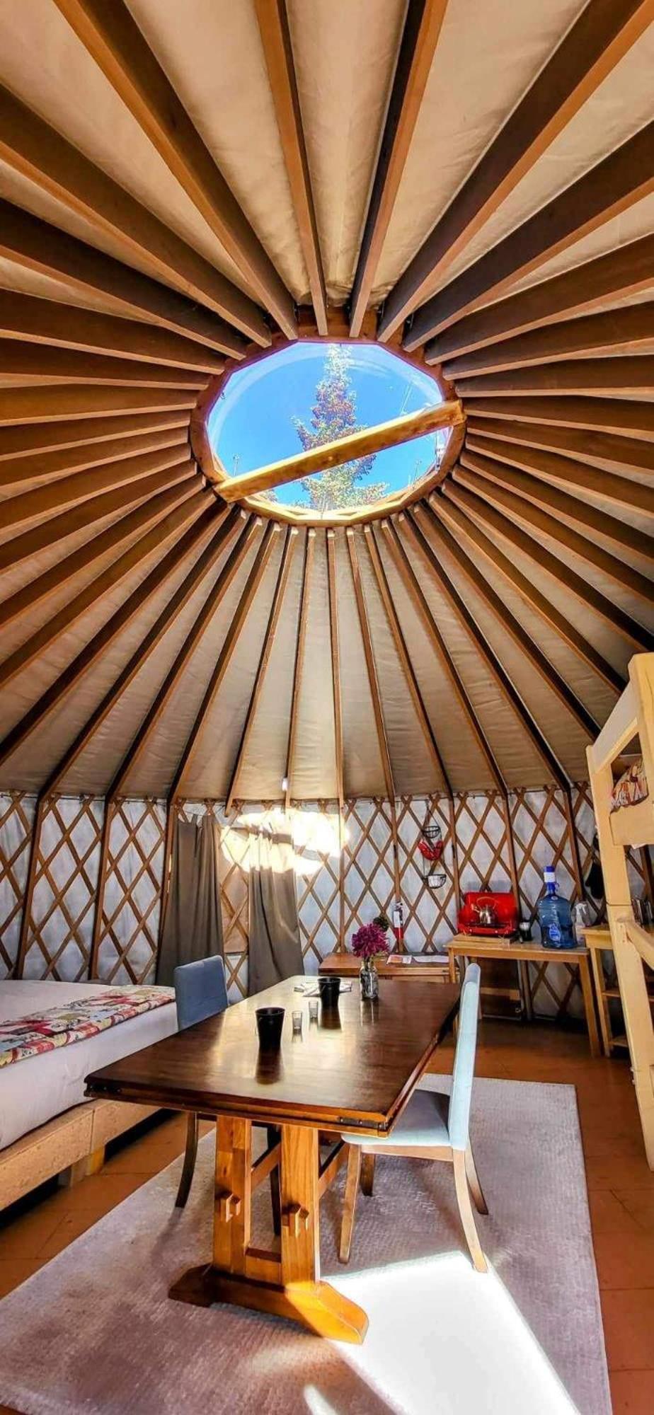 Mount Logan Ecolodge & Retreat Center Haines Junction Exteriér fotografie